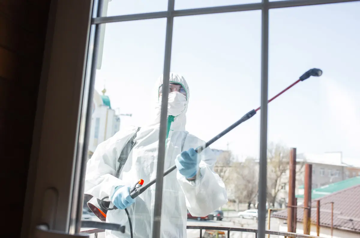 Mould – The Health Effects on People